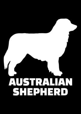 Australian Shepherd