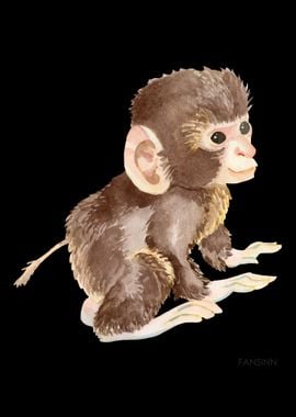 Monkey primate animal chil