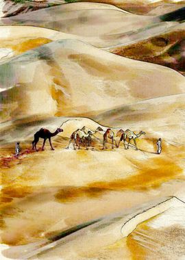 Camel Transport  