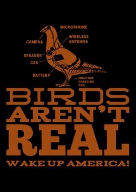 Birds Arent Real