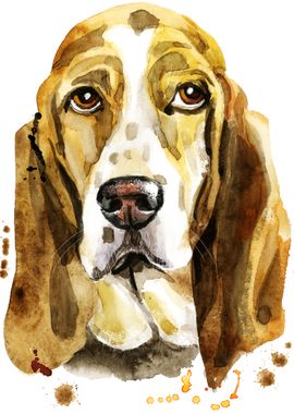 BASSET HOUND DOG 