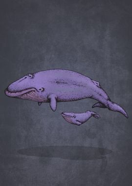 Whale