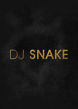 DJ Snake William Sami EDM