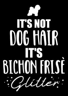 Bichon Frise