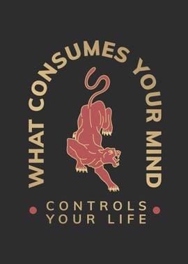 What Consumes Controls 