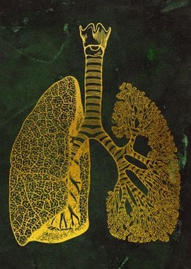 Lungs Art 