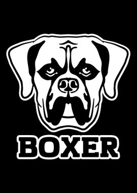 Boxer