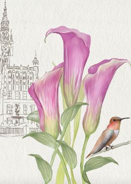 Pink Calla Lilies and bird