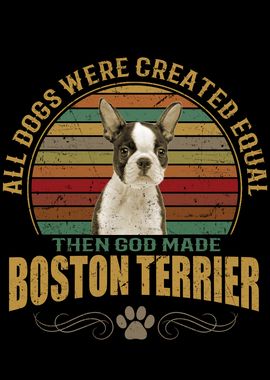 Boston Terrier