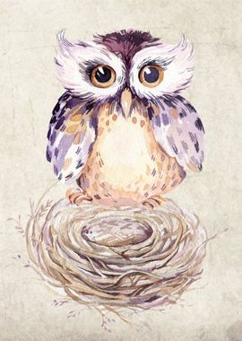 Owl