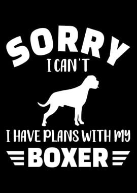 Boxer