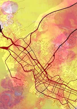 Honolulu Street Map