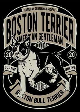 Boston Terrier Club