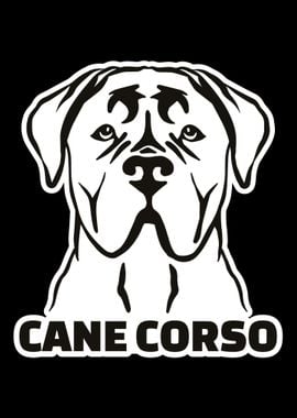 Cane Corso