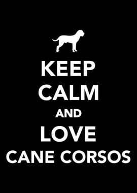 Cane Corso