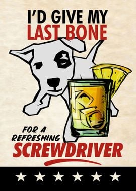 LAST BONE SCREWDRIVER