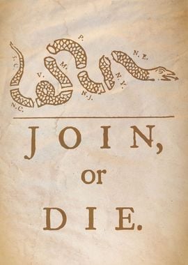 Join Or Die Snake Vintage