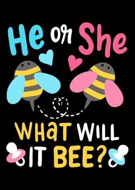 He or She Gender Reveal Pr