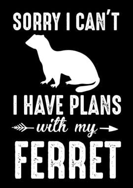 Ferret