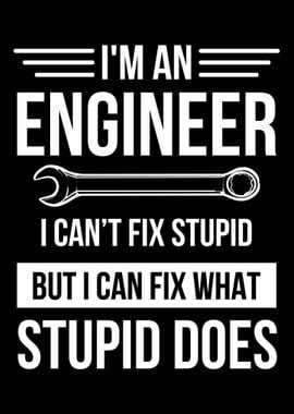 Engineer expert stupidity