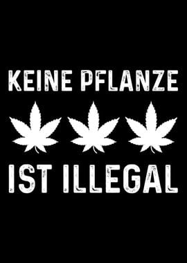 No plant illegal hemp cann