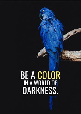 Color the Darkness