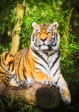 Sitting Tiger In Nature