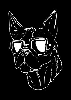 Boston Terrier Dog Sunglas