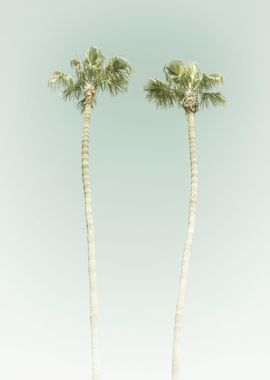 Vintage Palm Trees 