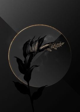 Black and Gold Botanical