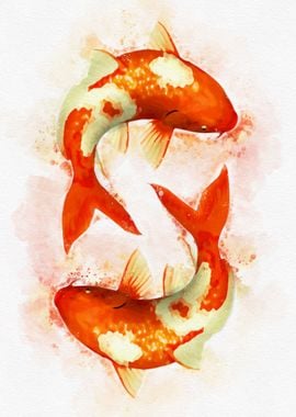 Two Koi Fish