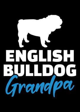 English Bulldog