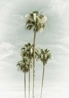 Vintage Palm Trees