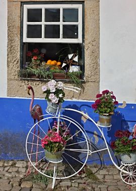 Bicycle with flowers