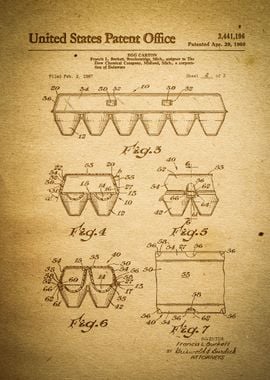 Egg Carton