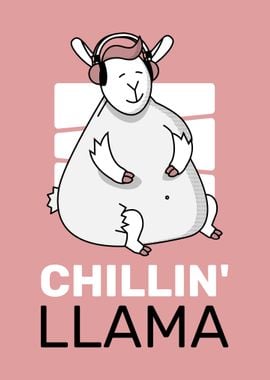 Chilling llama alpaca