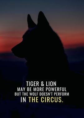 The tiger and the lion may be more powerful but the wolf does not