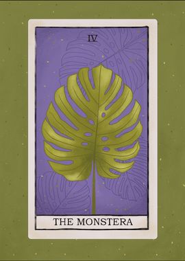 Monstera plant tarot card