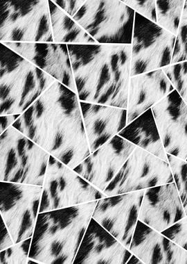 Animal Fur Black  White 1