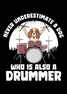 Drummer dog