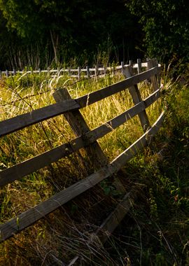 Suffolk Landscape