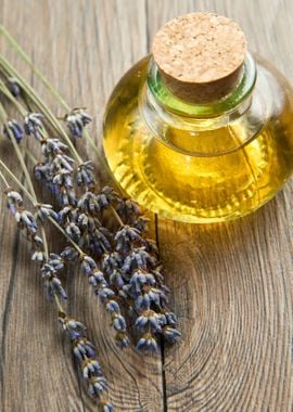 lavender oil with flowers 