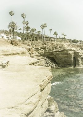 Vintage Sunset Cliffs 