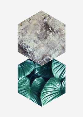 botanical polygon VI