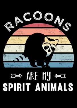 Cute Racoon Raccoons