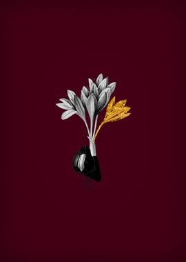 Autumn Crocus on Crimson