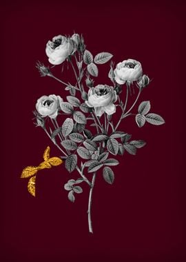 Burgundy Rose on Crimson