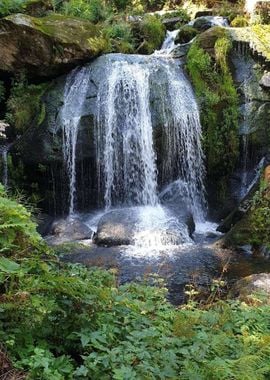 Waterfall by Nature