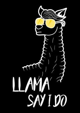 Funny Lama Alpaca Gift