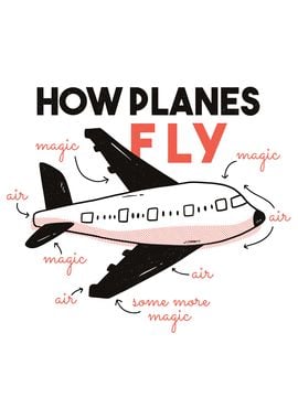 How planes fly